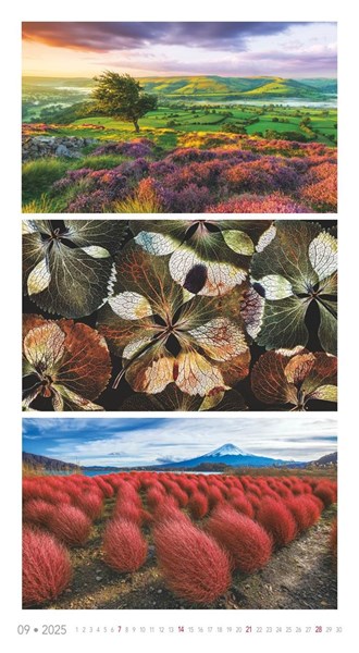 Obrázky: COLORS OF NATURE, nástenný kalendár 420x420 mm, Obrázok 10