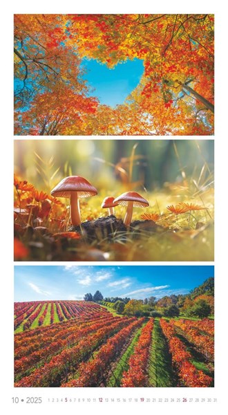 Obrázky: COLORS OF NATURE, nástenný kalendár 420x420 mm, Obrázok 11