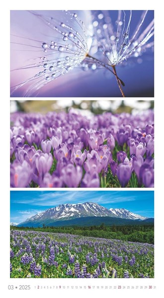 Obrázky: COLORS OF NATURE, nástenný kalendár 420x420 mm, Obrázok 4
